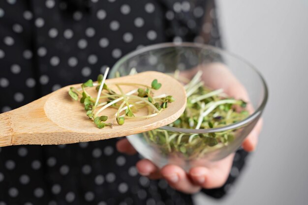 Colher de pau com salada de microgreens