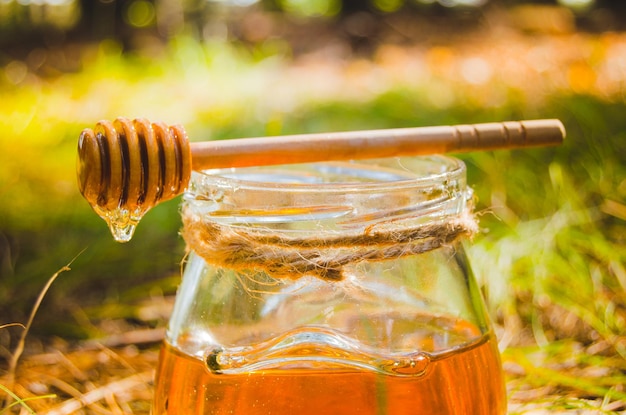 Colher para mel e jarra com mel fresco na clareira verde de verãoComida saudável