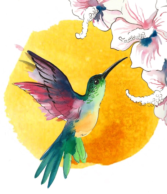 Colibrí volador Pintura acuarela dibujada a mano