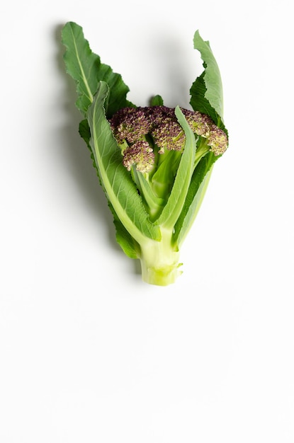 Coliflor morada con hojas sobre fondo blanco.