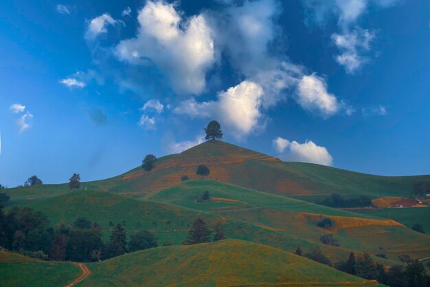 una colina con un árbol en ella y una colina en el fondo del cielo