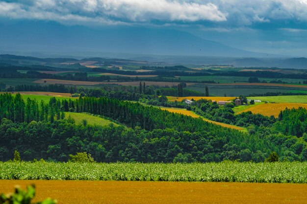 Foto colina colina hokkaido asahikawa cidade locação de filmagem hokkaido