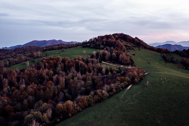 Colina cubierta por un bosque con los colores del otoño.