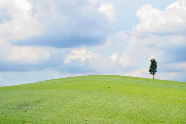 Colina de campo de prado verde bonito com nuvens brancas e céu azul e árvore