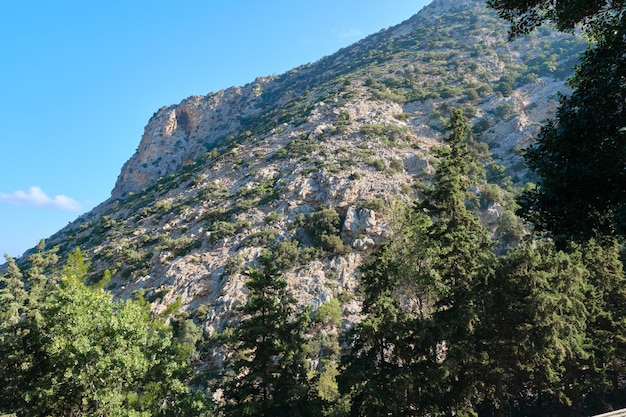 Colina de montanha com árvores verdes verão céu azul natureza montanhas da grécia chipre
