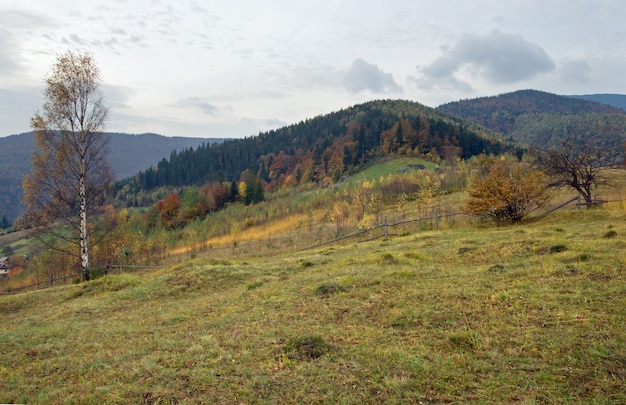 Colina de pastagem de montanha no outono com bétula na frente