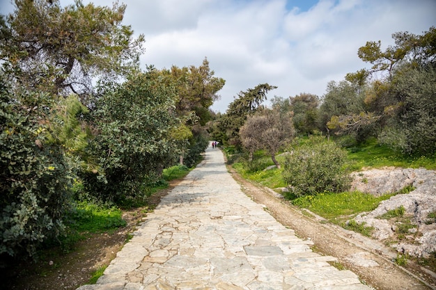 Colina de Filopappou Atenas Grecia Árboles de fondo