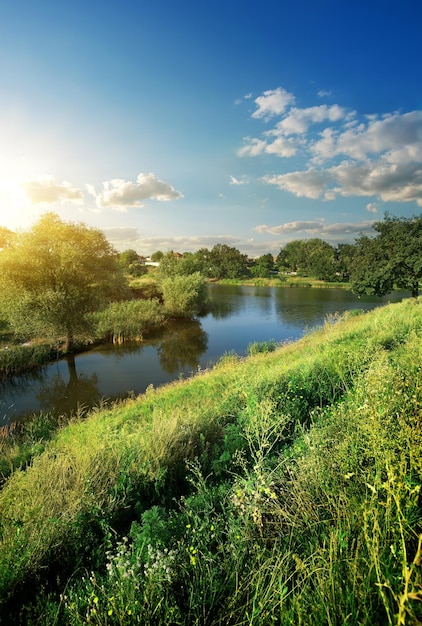 Colina con hierba verde cerca del río a la luz del sol