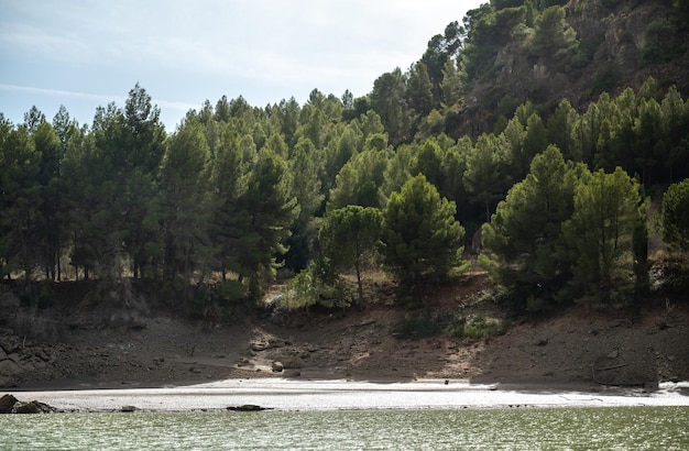 Colina junto ao rio com algumas árvores