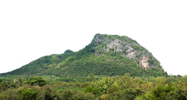 Colina de montaña de roca con bosque verde aislado sobre fondo blanco