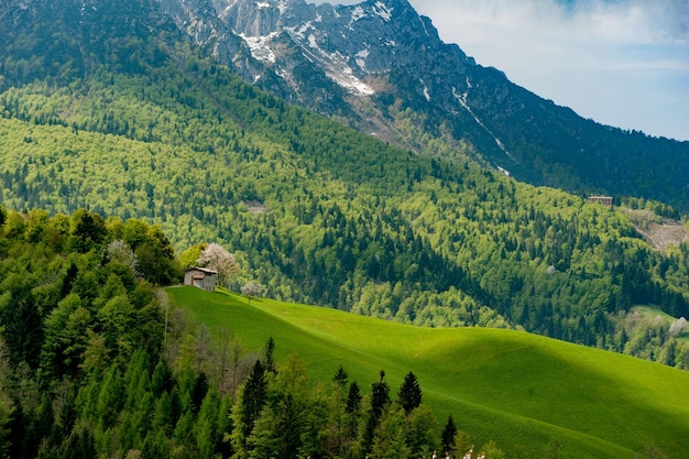 colina na primavera