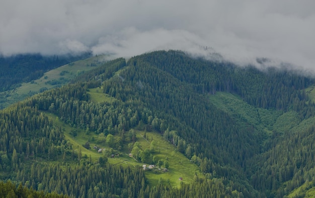 Colina ondulante arborizada em um dia nublado, cenário natural encantador da paisagem montanhosa