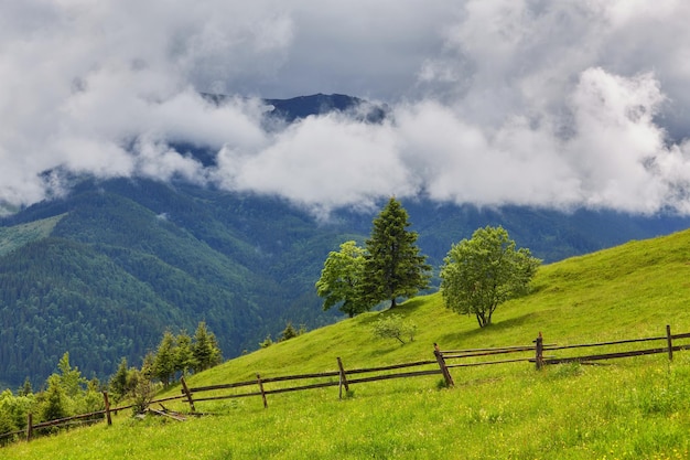 Colina ondulante arborizada em um dia nublado, cenário natural encantador da paisagem montanhosa