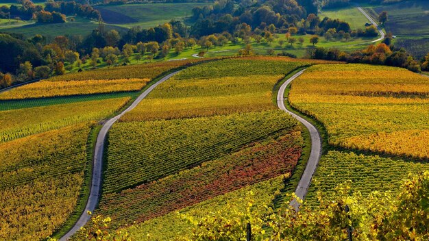 Foto la colina de otoño de europa