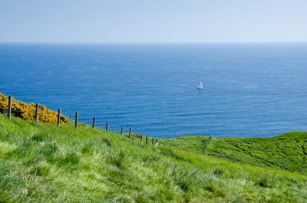 Colina y pradera de la costa de la costa jurásica