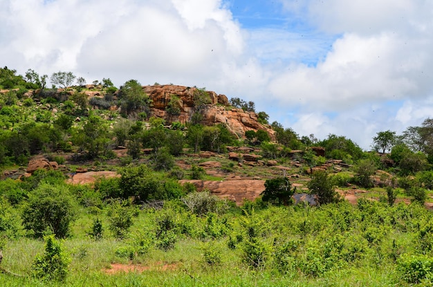 Colina roja en la sabana en el este de tsavo, Kenia, África