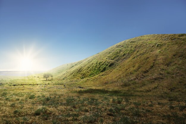 Colina verde con campo de hierba