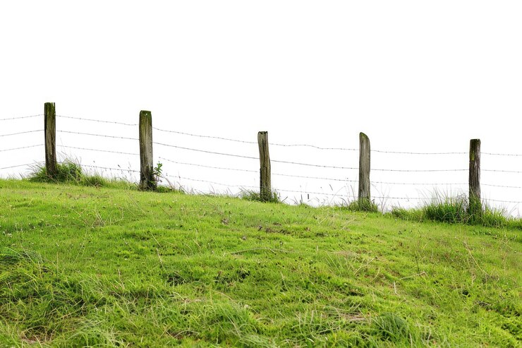 Foto colina verde com cerca de madeira