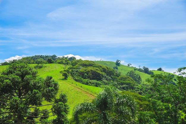 Foto colina verde día soleado y cielo azul en brasil