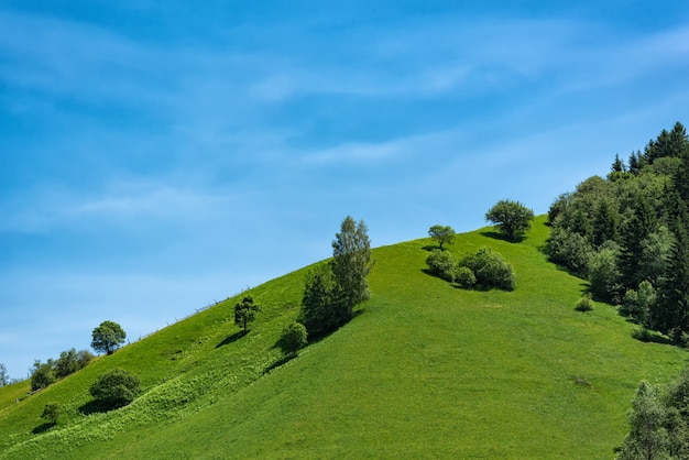 Colina verde no céu azul. Recreação de ecoturismo, zona rural