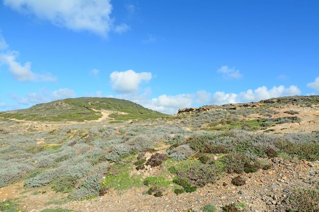 Colina verde sob um céu nublado na Argentiera Sardenha