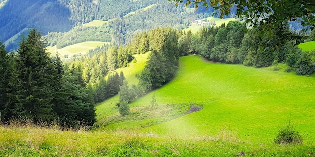 Una colina verde con vistas a las colinas y los árboles.