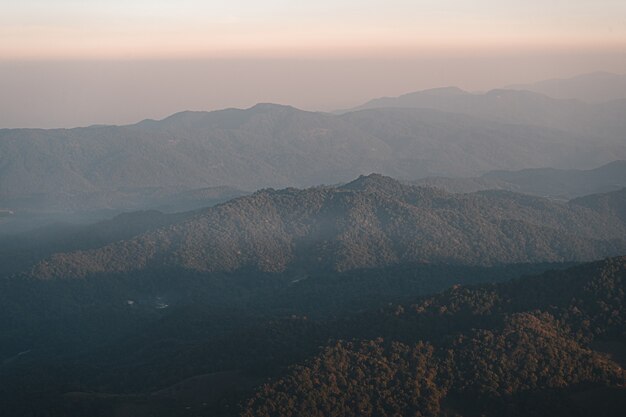 En la colina, vista al bosque de montaña por la noche