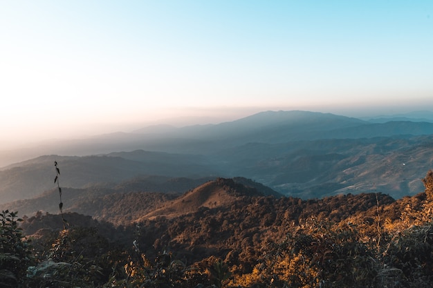 Foto en la colina, vista al bosque de montaña por la noche