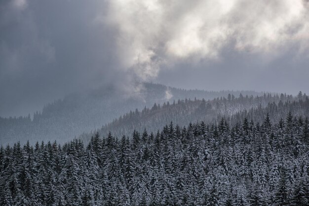 Colinas alpinas de inverno com vista para a floresta de abetos e pinheiros da vila montanhosa Pitoresca viagem caminhadas natureza sazonal e cena de fundo do conceito de beleza rural