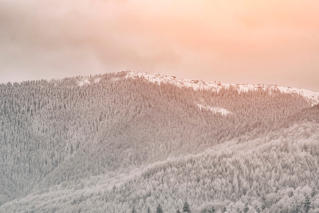 Colinas con bosque nevado. Paisaje de invierno