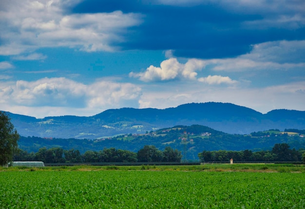 Foto las colinas y el cielo en weienkirchen in der wachau