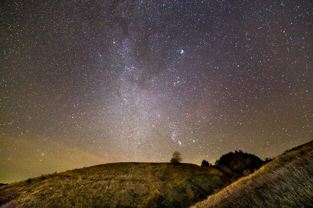 Colinas cubiertas de hierba verde oscuro, árboles solitarios y arbustos en la noche bajo un hermoso cielo estrellado de verano azul oscuro