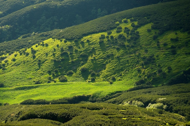 Colinas de montanha em tons de verde