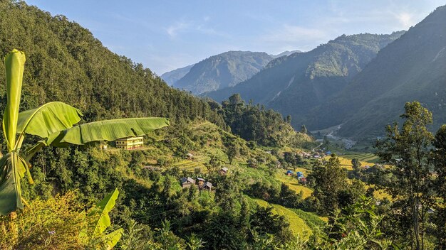 Colinas e campos de arroz em uma aldeia no Nepal