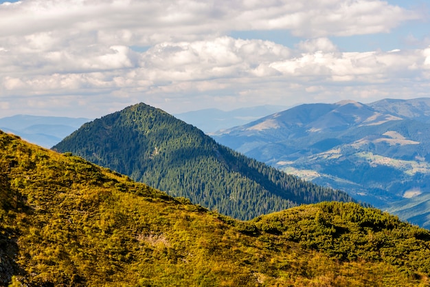 Colinas e picos de montanha dos cárpatos verdes em dia ensolarado de verão