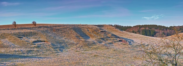 Colinas estéreis do deserto com árvores Paisagem de montanha arenosa vazia com uma floresta de pinheiros ao fundo Cena de natureza serena sem pessoas Montanha sem vida na primavera contra um céu azul brilhante