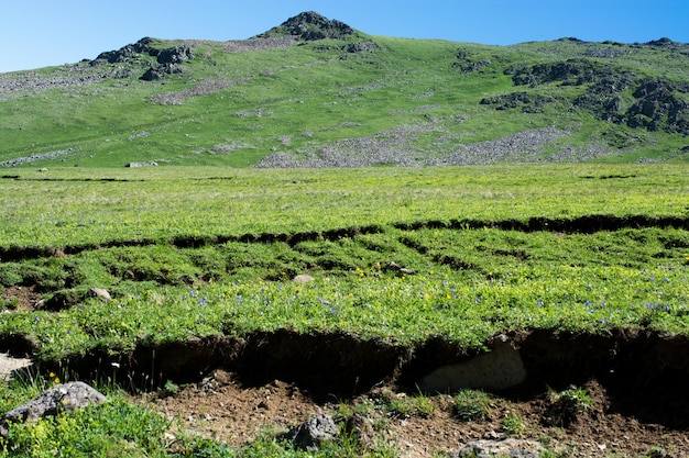 Colinas en las montañas de la provincia de Artvin en el noreste de Turquía