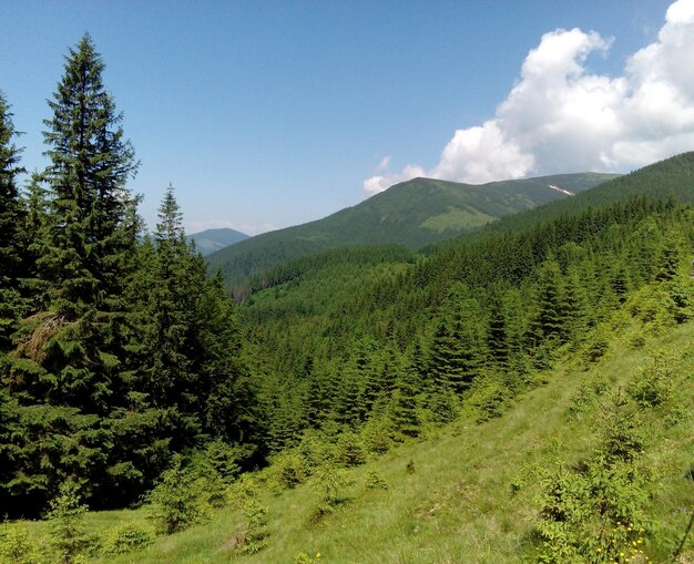 colinas y montañas