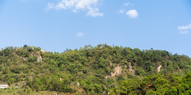 Colinas de Nepal, cubiertas de selva. Paisaje con selva tropical en un brillante día de verano. Imagen de referencia para dibujo CG, pintura mate. Foto de stock.