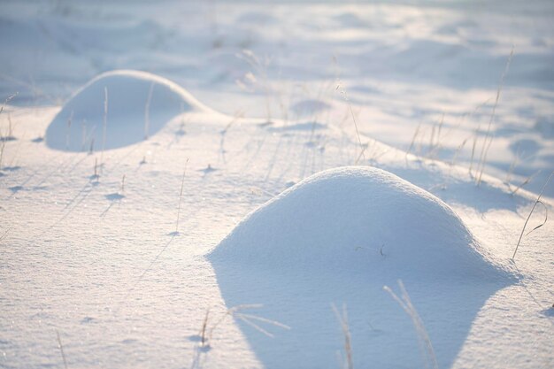 Colinas nevadas brillando al sol con nieve limpia y esponjosa en un campo cubierto de nieve brillando en el sol