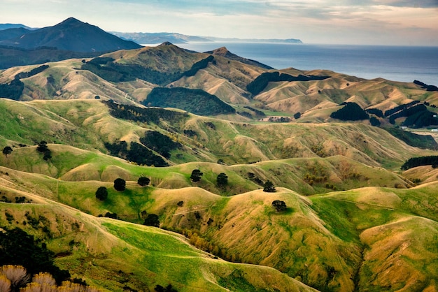 Las colinas onduladas de la zona rural de Wairarapa cerca de la capa este