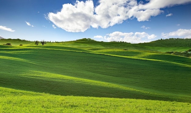 Foto colinas ondulantes no panorama da toscana