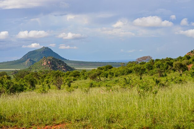 Colinas en la sabana en el este de África Kenia Tsavo