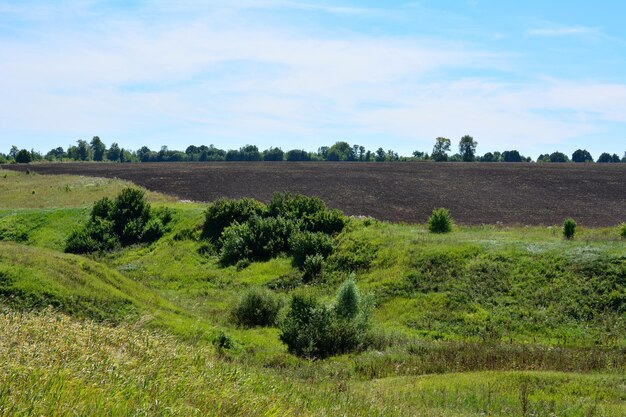 colinas verdes com campo agrícola sujo e céu azul no fundo