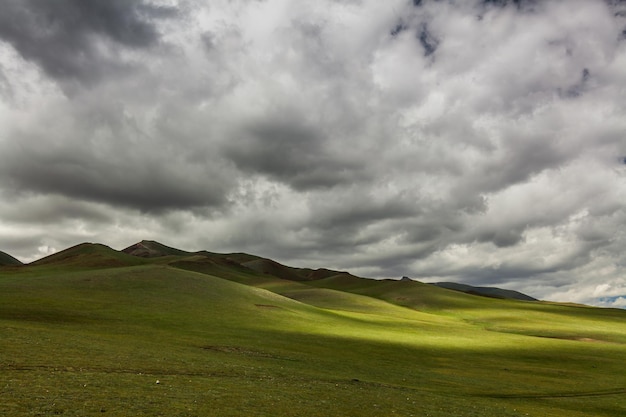 Colinas verdes com estepe mongol de céu nublado