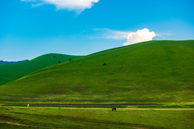 Colinas verdes y hermoso cielo azul con nubes