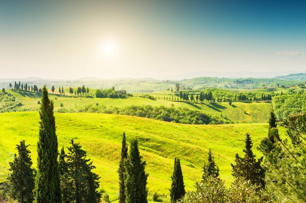 Colinas verdes na Toscana, Itália. Bela paisagem de verão.