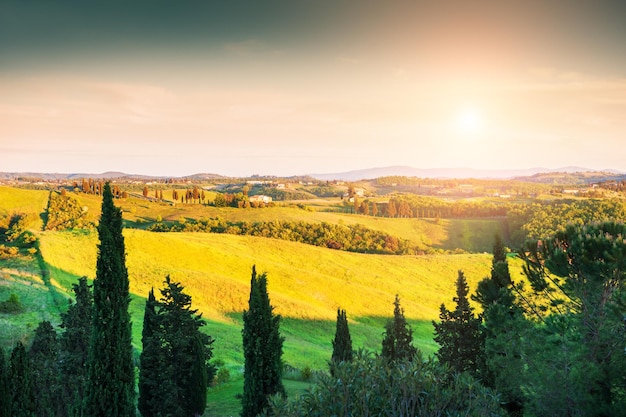 Colinas verdes na Toscana, Itália. Paisagem linda de verão ao pôr do sol.