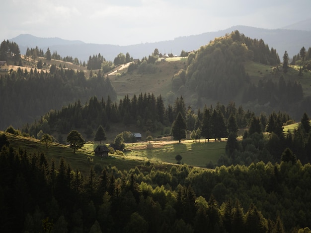 Colinas verdes y onduladas en Rumania