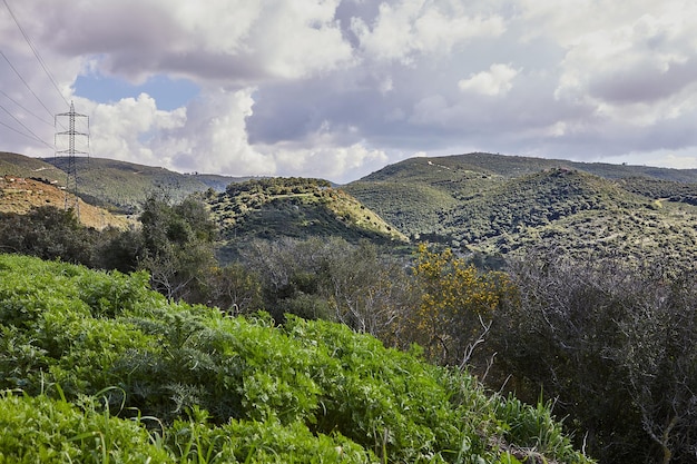 Colinas verdes pacíficas e paisagem de céu azul nublado com cores vibrantes